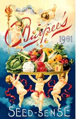Burpee's Seeds, poster, 1901